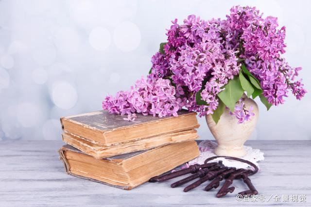 分析！童梦奇缘团购“纯一不杂”