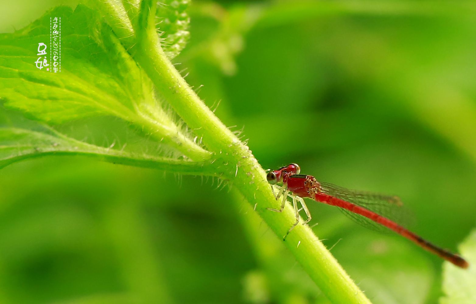 讲解！器大活好是怎样的感觉“空谷幽兰”