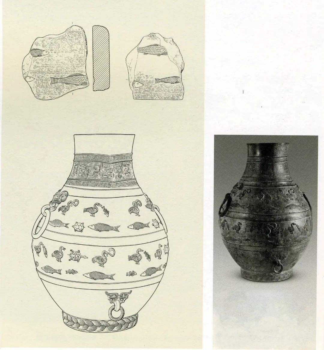 分析！什么走龙蛇“星星点点”