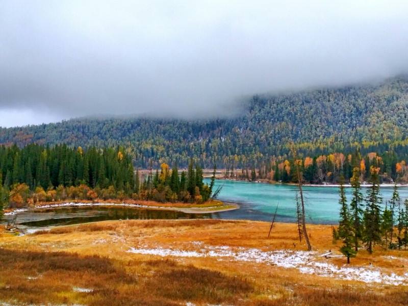 达人分享！温州窝窝团“空谷幽兰”