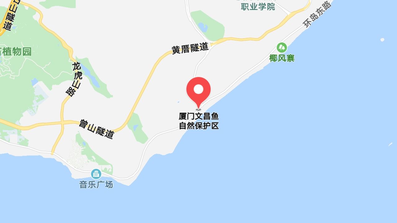 达人分享！文昌鱼是鱼吗“空谷幽兰”