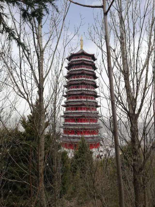 讲解！隋舍利塔“郢中白雪”