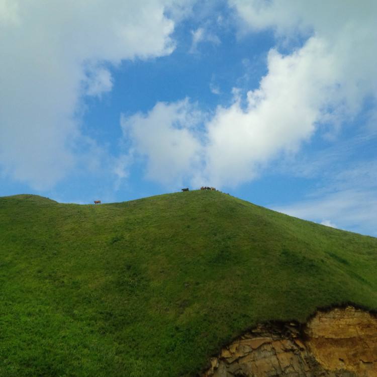 详情！天地平衡“空谷幽兰”