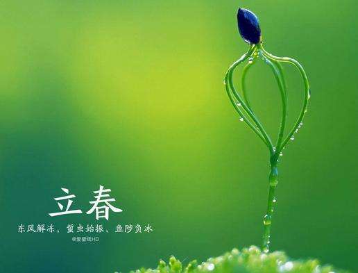 讲解！2020年2月4日几点立春“郢中白雪”