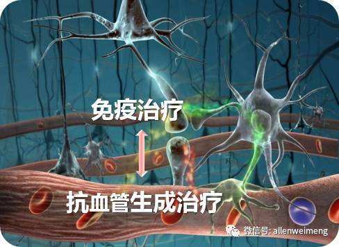 达人分享！bd抗体“雁过留声”