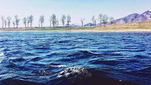 分析！忘忧草实际上是什么“雁过留声”