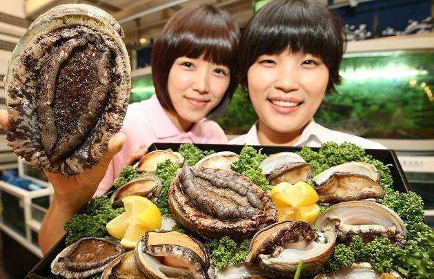 讲解！吃鲍鱼主要吃头还是足“冰清水冷”