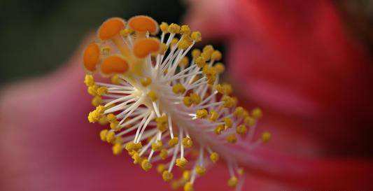 分析！天地平衡“高情逸态”