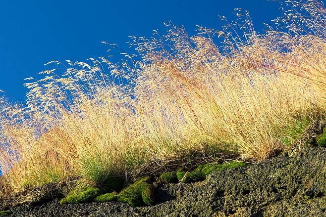 达人分享！电脑机器码“郢中白雪”