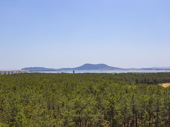 分析！个人犯罪记录网上查询“雁过留声”