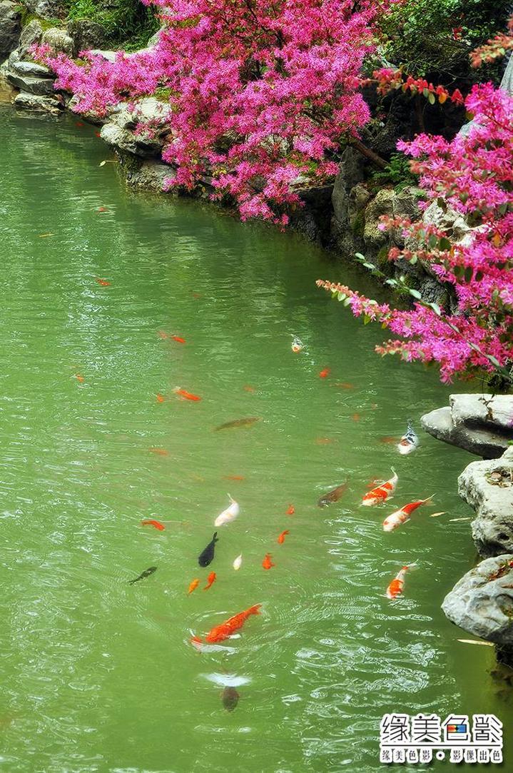 达人分享！xp系统哪个版本好“桃红柳绿”