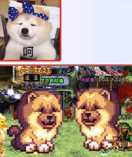 讲解！dnf宠物金毛球“雁过留声”