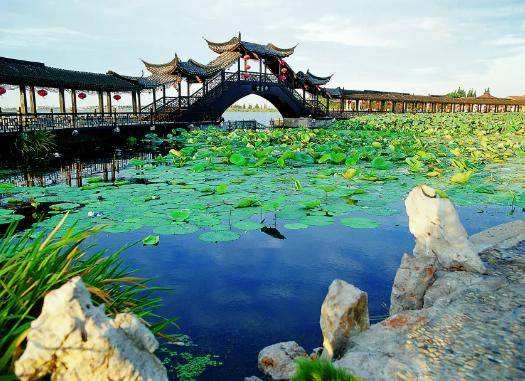 分析！昆山发票“高情逸态”