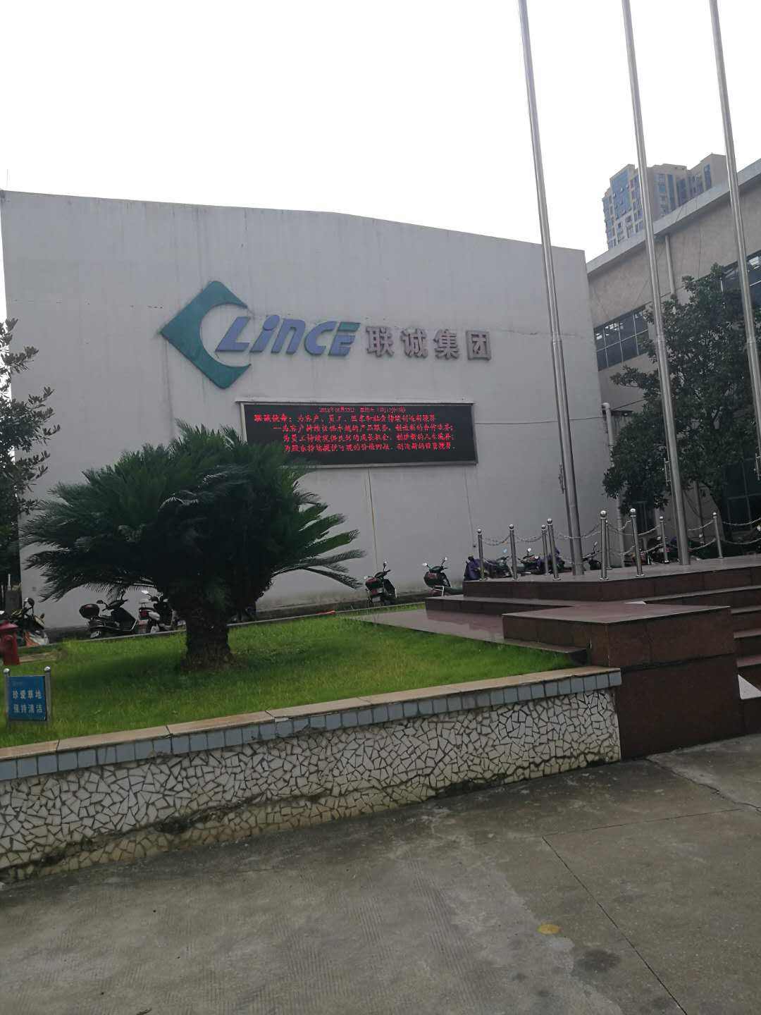 讲解！qcc是什么意思“空谷幽兰”