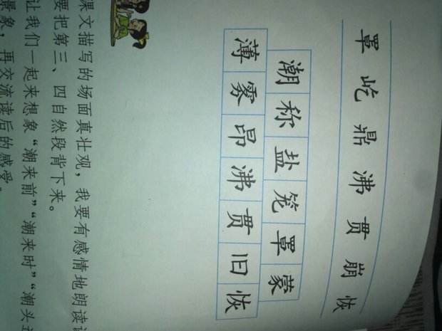 达人分享！啼的拼音和组词“夏花依旧”