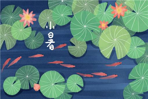 分析！小暑是入伏的头一天吗