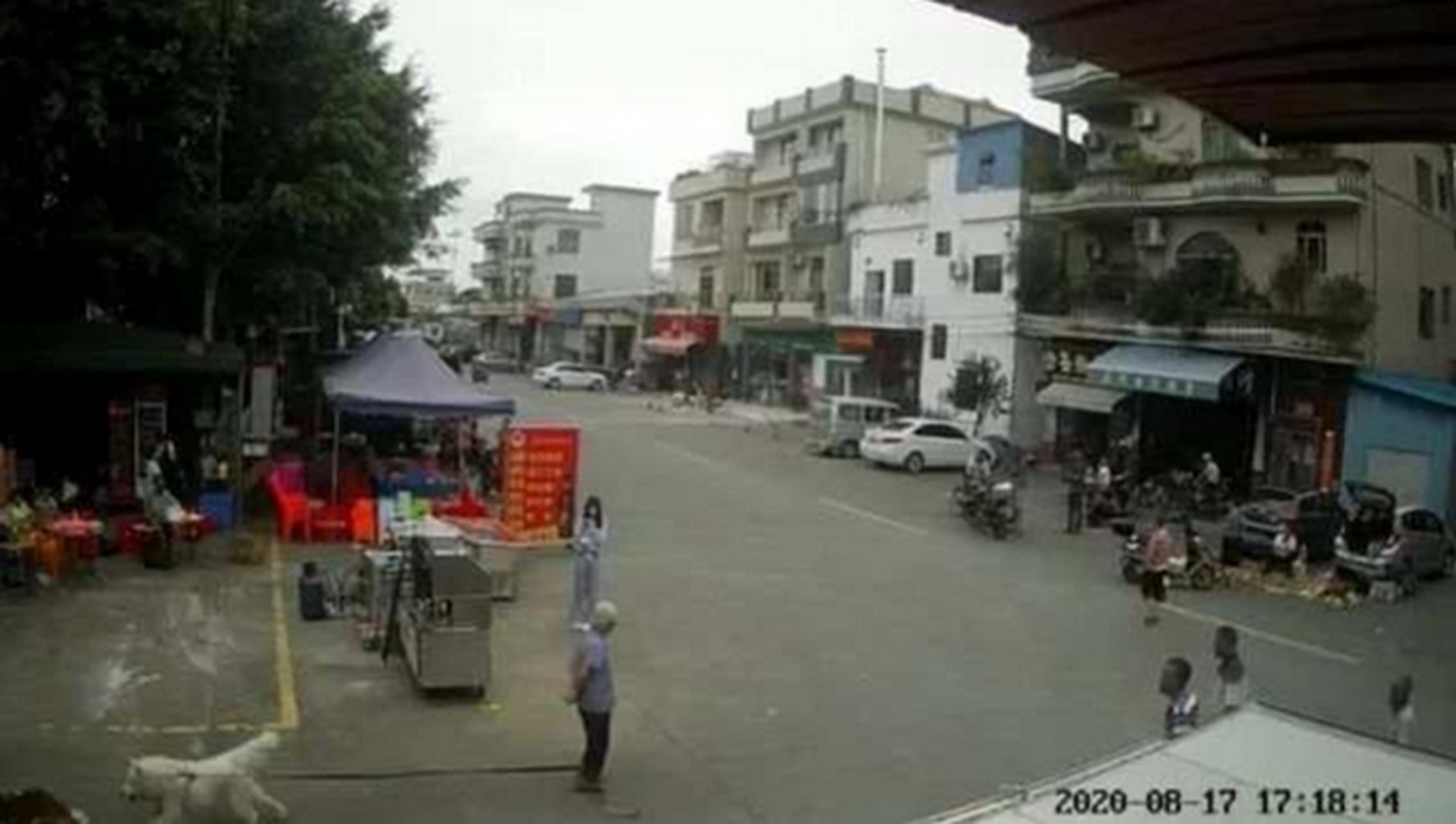 分析！女孩回应绊死老人案“高情逸态”