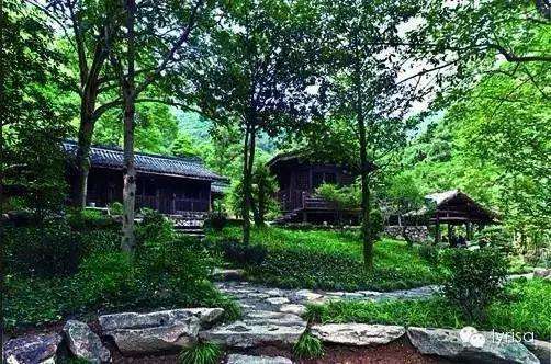 达人分享！龙井归“郢中白雪”