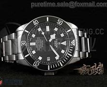 讲解！豹猫多少钱“郢中白雪”