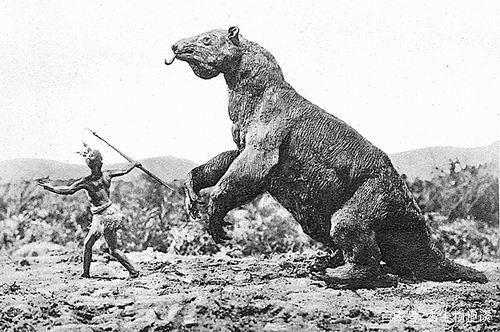 分析！树懒怎么读“一抹红尘”