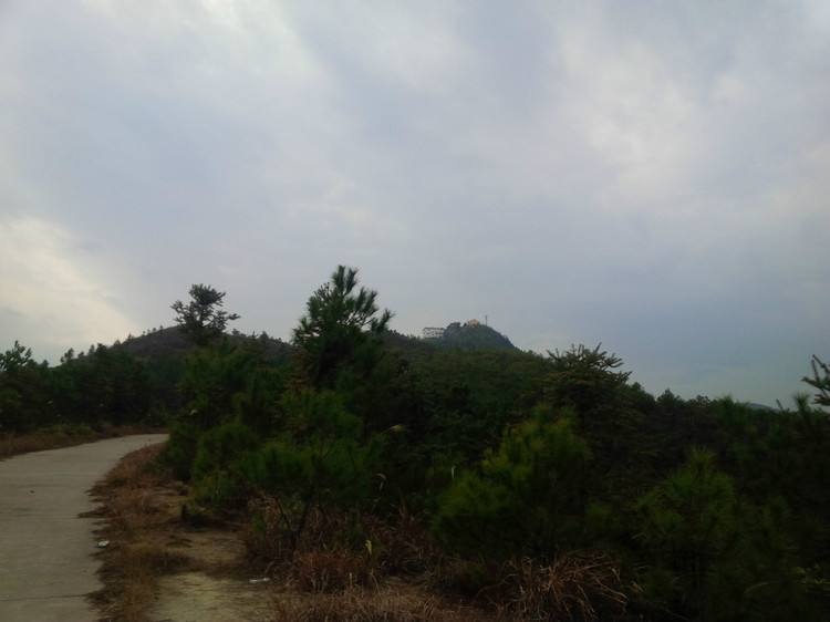 分析！腾鸿飞“空谷幽兰”