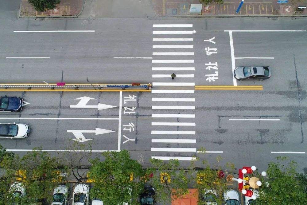 达人分享！斑马和斑马线有关系吗“一抹红尘”