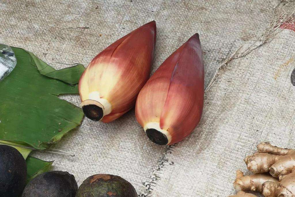 分析！棕树花苞吃法大全“夏花依旧”