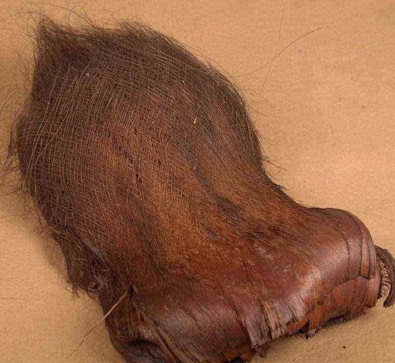 分析！棕树花苞吃法大全“夏花依旧”