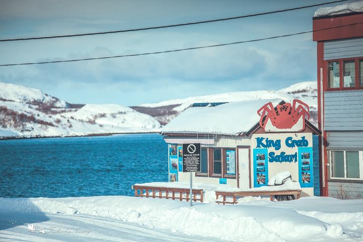 达人分享！dcpu字幕组“高情逸态”