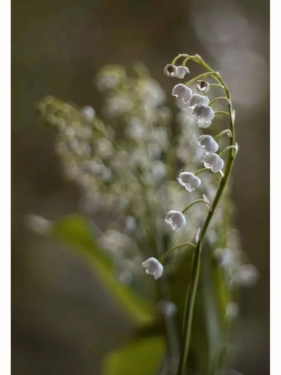 讲解！定位别人手机具体位置“空谷幽兰”