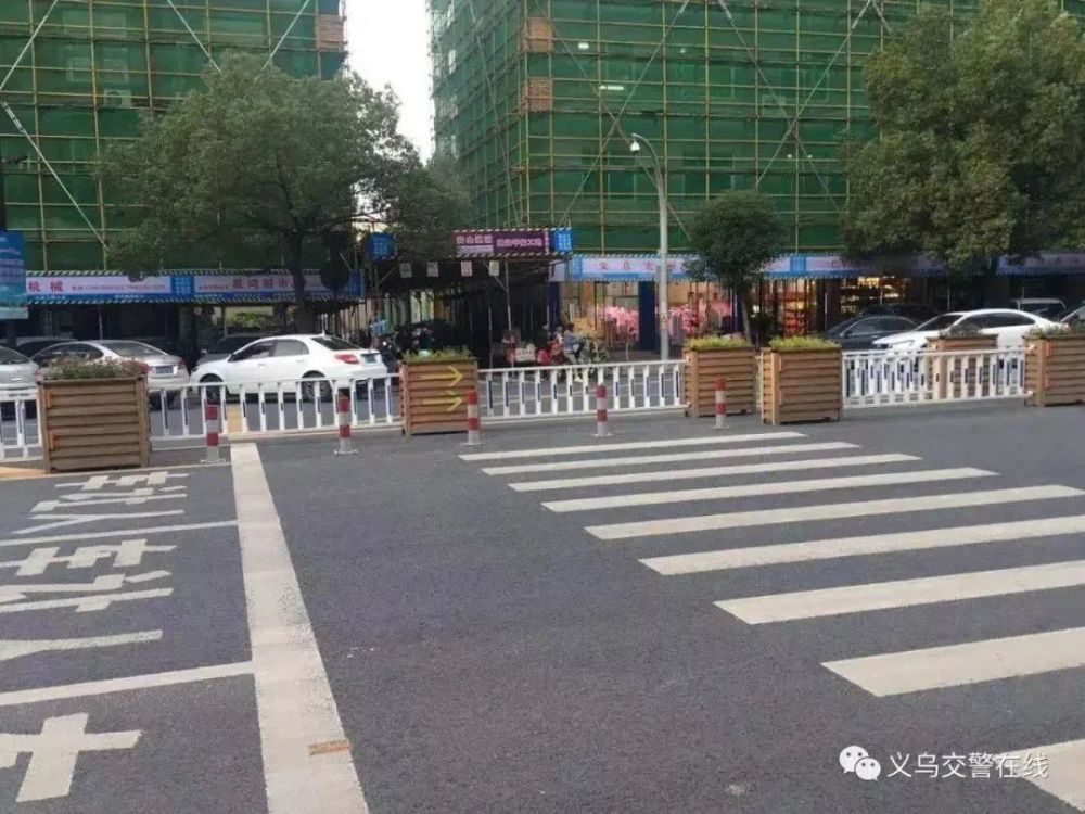 分析！斑马线和斑马有什么关系“星星点点”