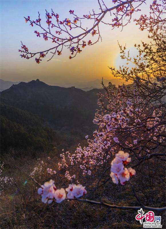 讲解！手指上的世外桃源“星星点点”