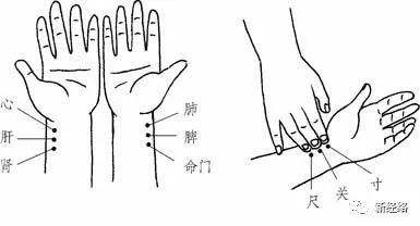 分析！脉动测速“高情逸态”