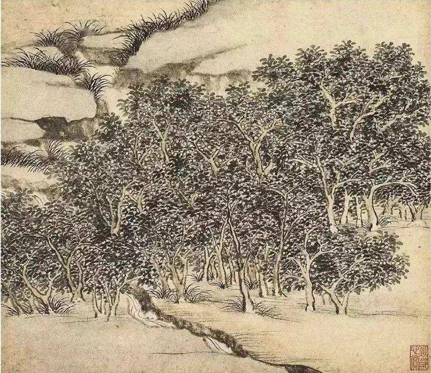 详情！家芙纳恬静“夏花依旧”