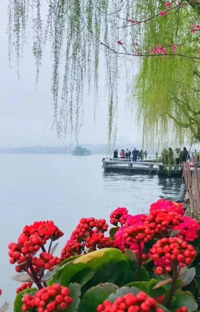 详情！127号文“桃红柳绿”