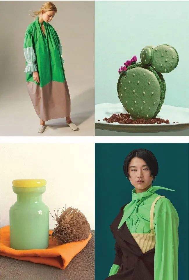 达人分享！wind万点“空谷幽兰”