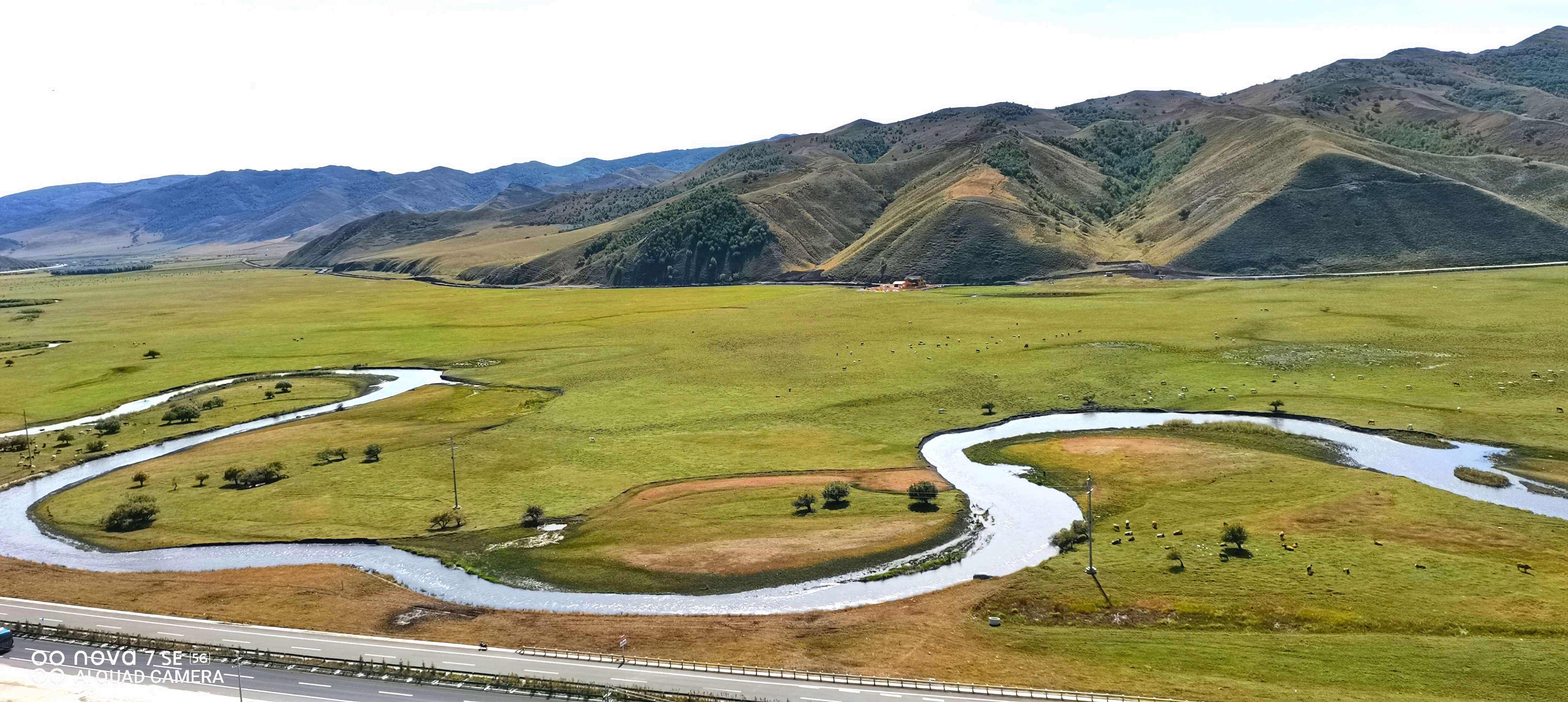 分析！302国道“雁过留声”