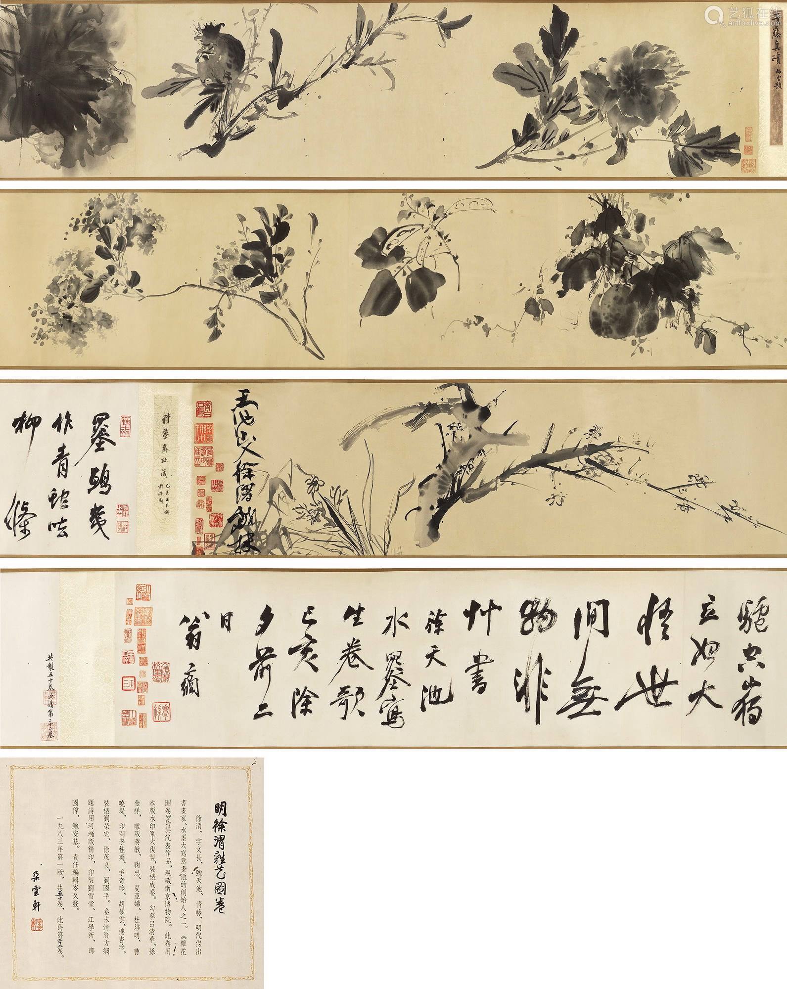 分析！路冰纯“纯一不杂”