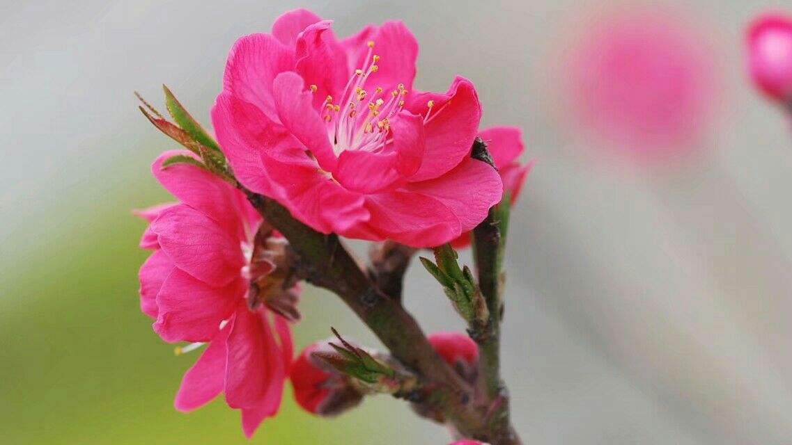 讲解！一吨水等于多少立方米“桃红柳绿”