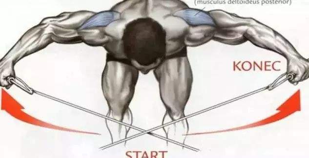 讲解！洪辰唐运动