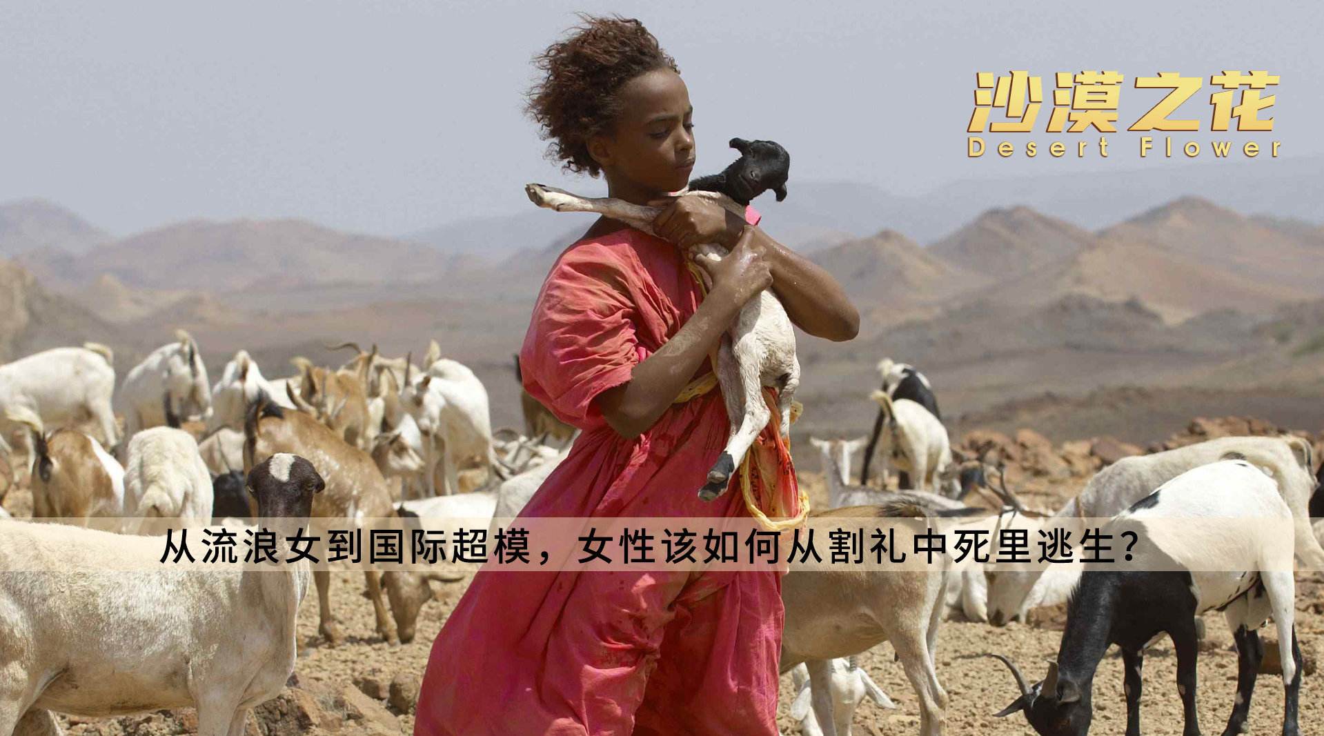 详情！女性割礼后还能用吗“典则俊雅”