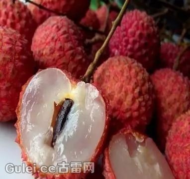 分析！漳浦荔枝“桃红柳绿”