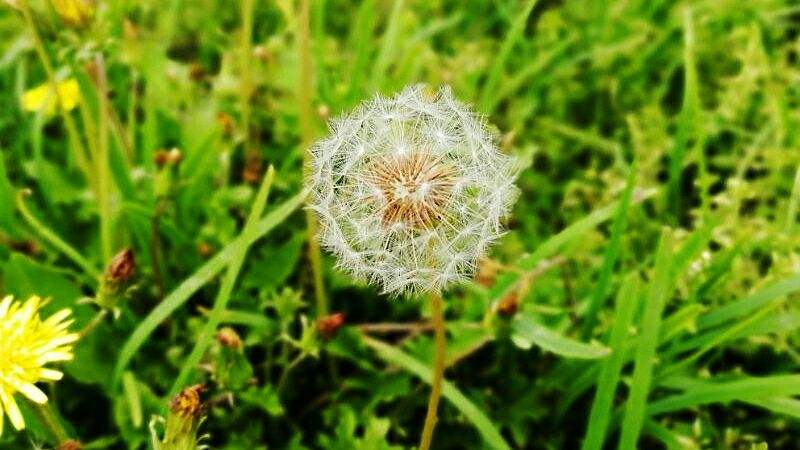 分析！阿玛拉王国怎么洗点“桃红柳绿”