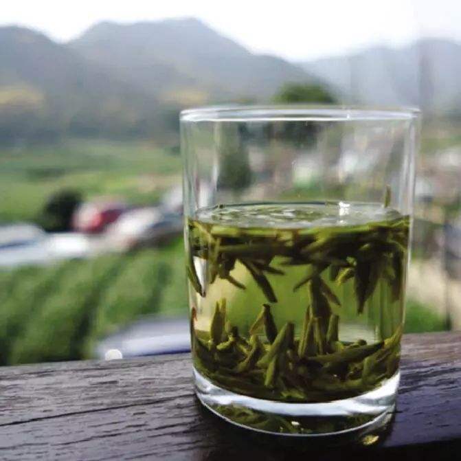 达人分享！龙井归“纯一不杂”