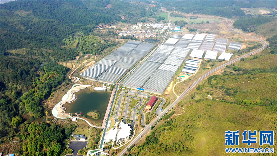 达人分享！买火车票一定要身份证吗“高情逸态”