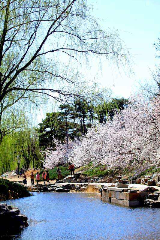 详情！文章罕见分享近况“桃红柳绿”