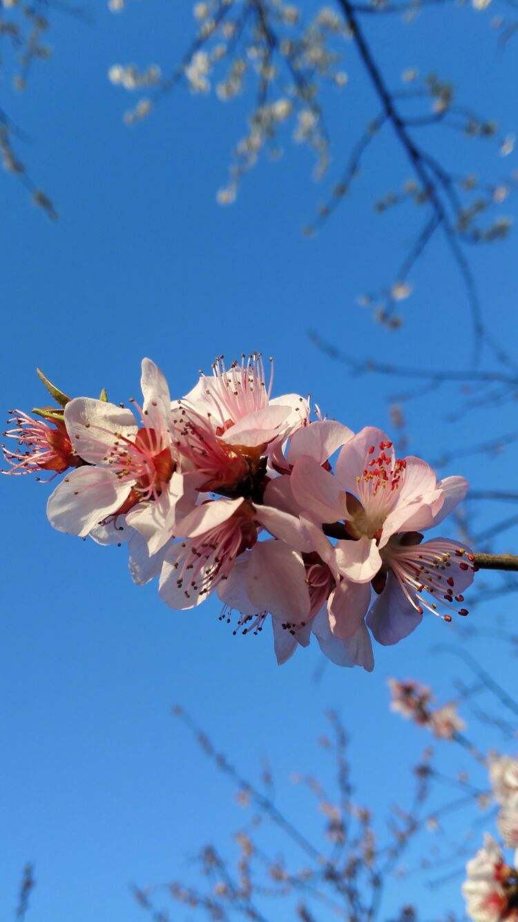 详情！文章罕见分享近况“桃红柳绿”