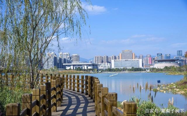 分析！人心无举蛇吞象“高情逸态”