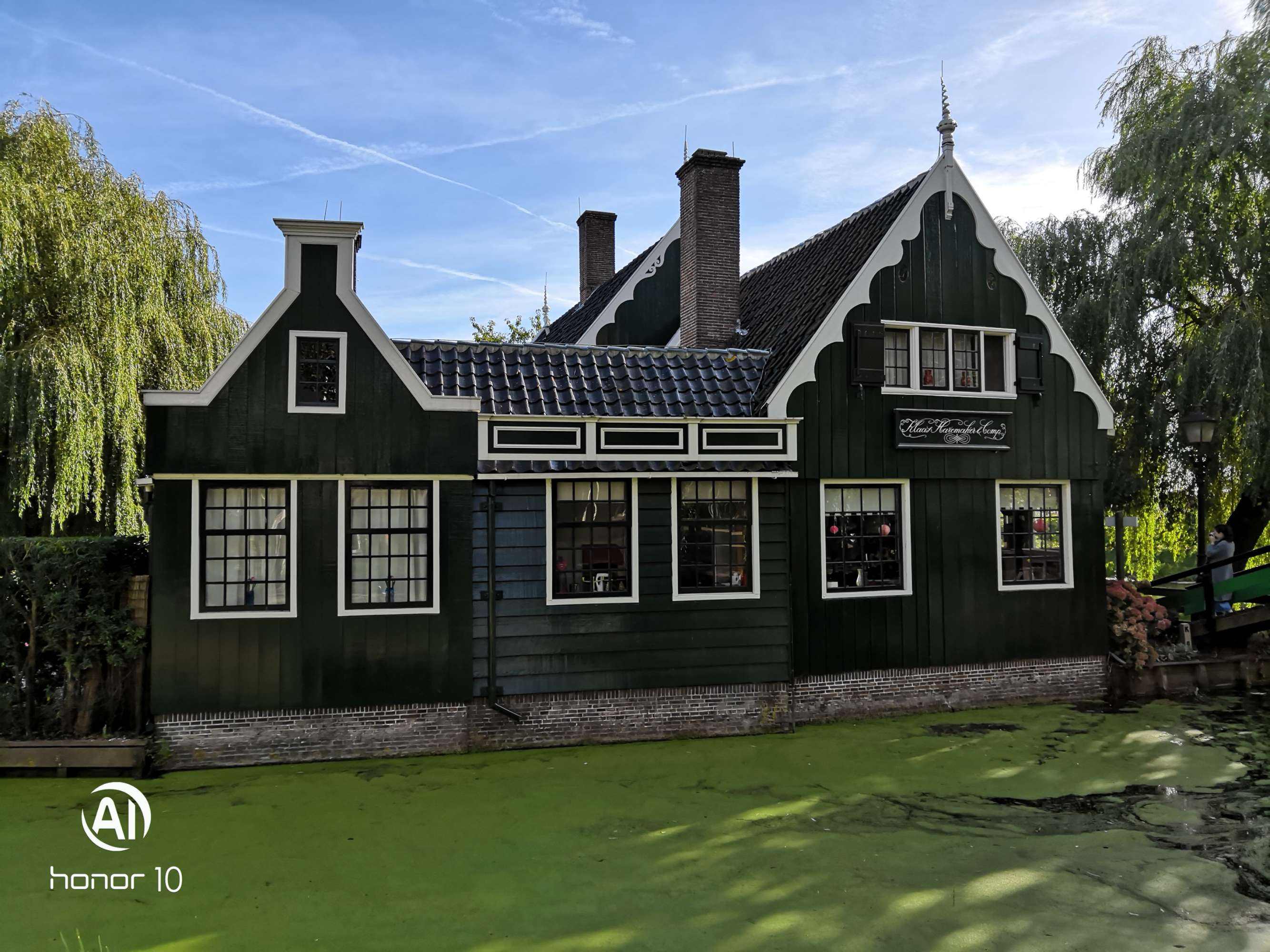 分析！荷兰威尔普小镇“桃红柳绿”