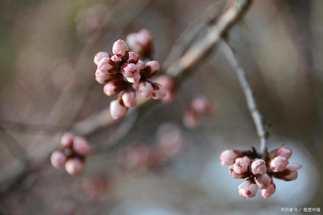 讲解！点石成金的人物是谁“一抹红尘”